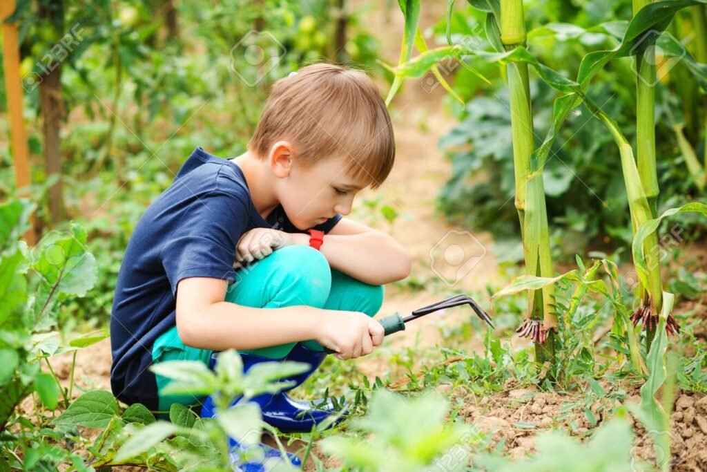 Junge arbeitet im Garten zwischen Maispflanzen – Symbol für nachhaltige Gartenpflege im selbstregulierender Garten
