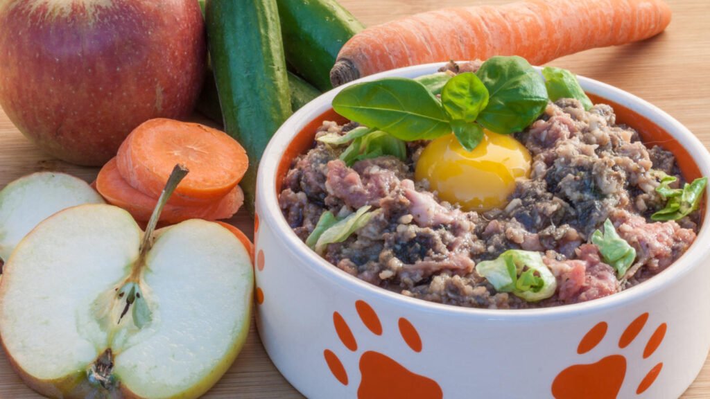 BARF Napf mit frischem Fleisch, Ei, Apfel und Gemüse – gesunde Hundeernährung