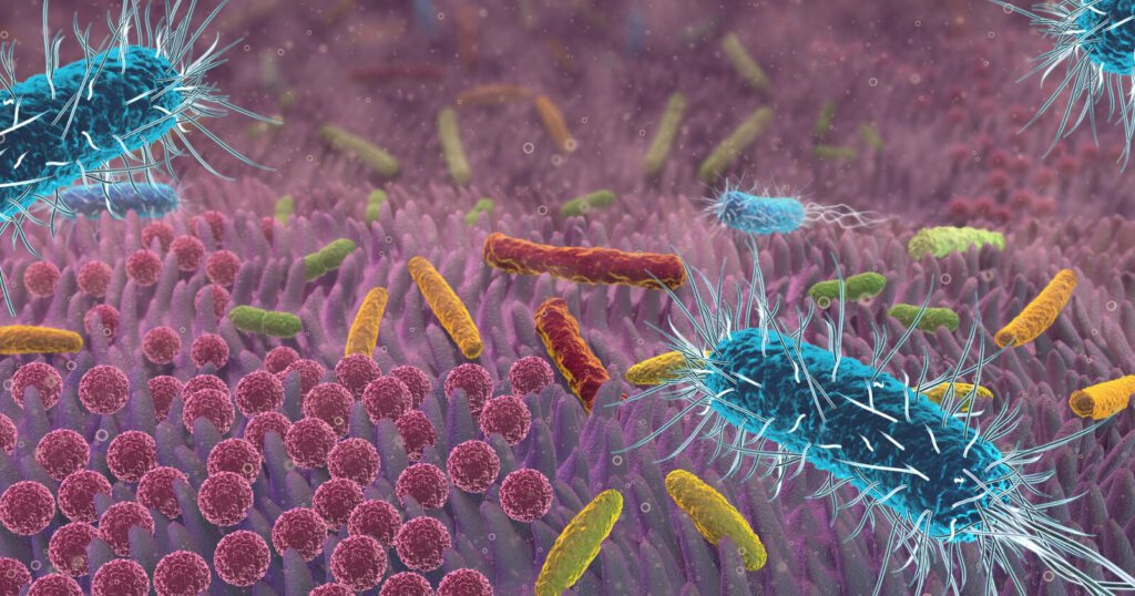 Illustration der Darmschleimhaut mit probiotischen Bakterien als Teil der Darmflora und das zweite Gehirn