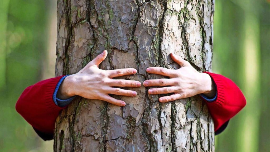 Mensch umarmt Baum – Rückbesinnung auf Natur gegen Zivilisationskrankheiten